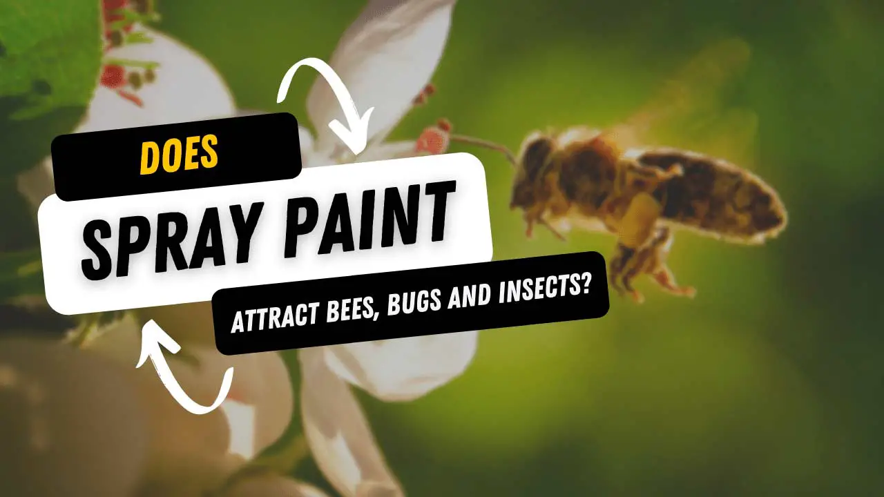 does spray paint attract bees, bugs and insects