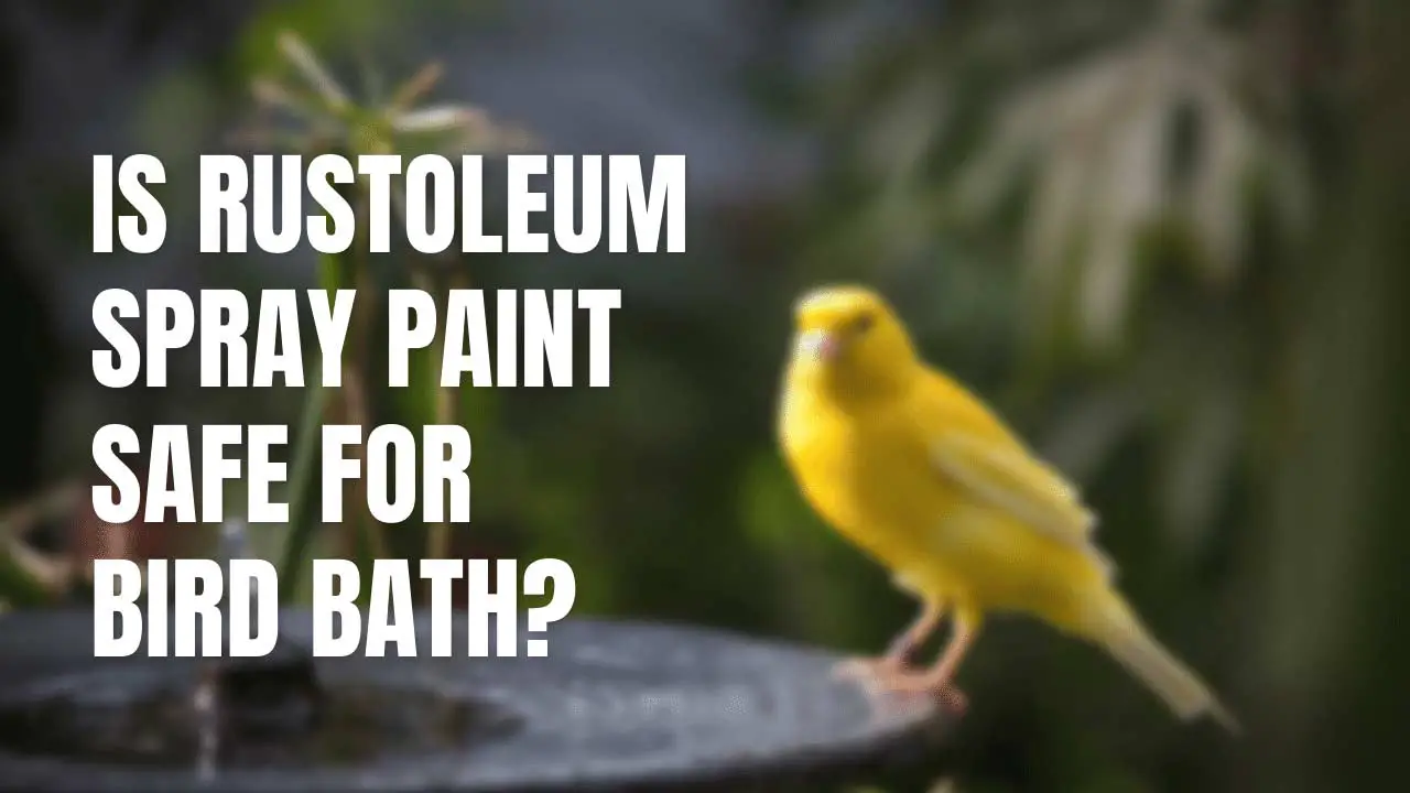 Is Rustoleum Spray Paint Safe For Bird Baths