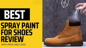 Top 10 Best Spray Paint For Shoes Review [2022]